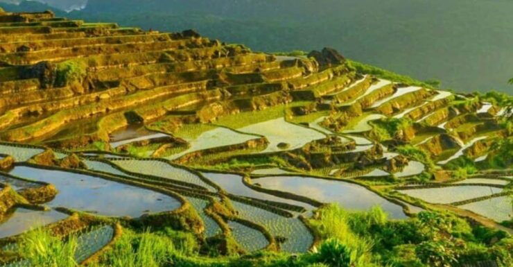 From Hanoi: Pu Luong Nature Reserve Vacation 2D1N - Daily Itinerary