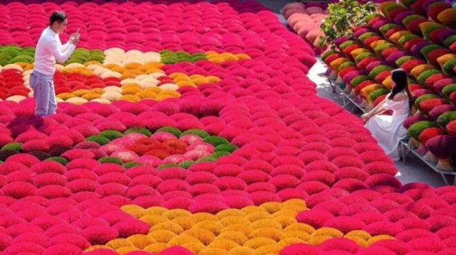 From Hanoi: Quang Phu Cau Incense Village Private Day Trip - Inclusions and Logistics