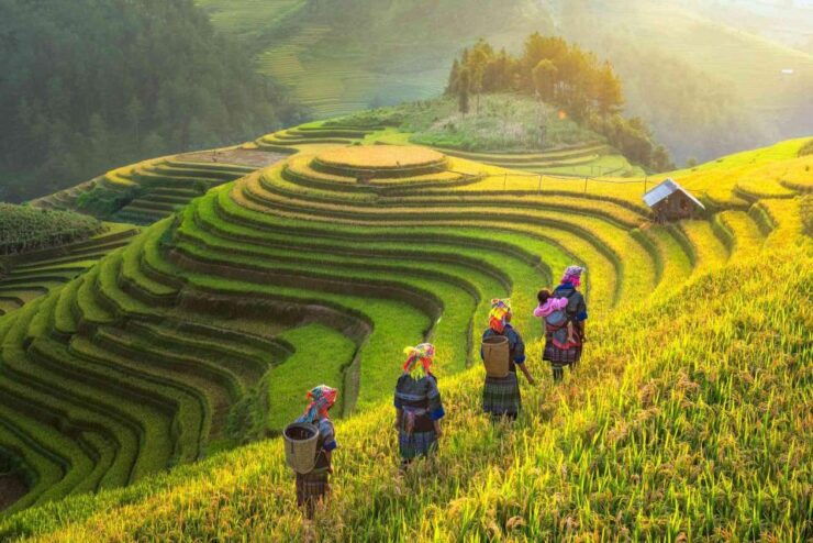 From Hanoi: Sapa 2 Days 1 Night - Experience Highlights