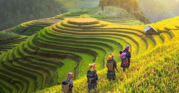 From Hanoi: Sapa 2 Days 1 Night - Itinerary Description
