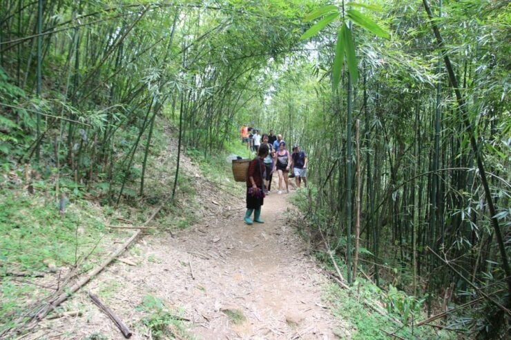 From Hanoi: Sapa 2 Days 2 Night Trekking With Local People - Tour Details for Sapa Trekking