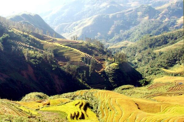 From Hanoi: Sapa 2 Days Tour With Bus and Accommodation - Booking Information