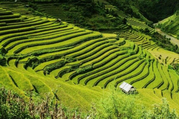 From Hanoi: Sapa 2-Days Trekking and Fansipan Peak Tour - Booking Process