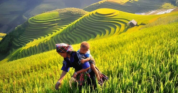 From Hanoi: Sapa 2 Days & Trekking To Local Village - Pricing and Cancellation Policy