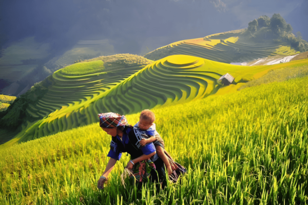 From Hanoi: Sapa 2 Days & Trekking To Local Village - Inclusions and Additional Information