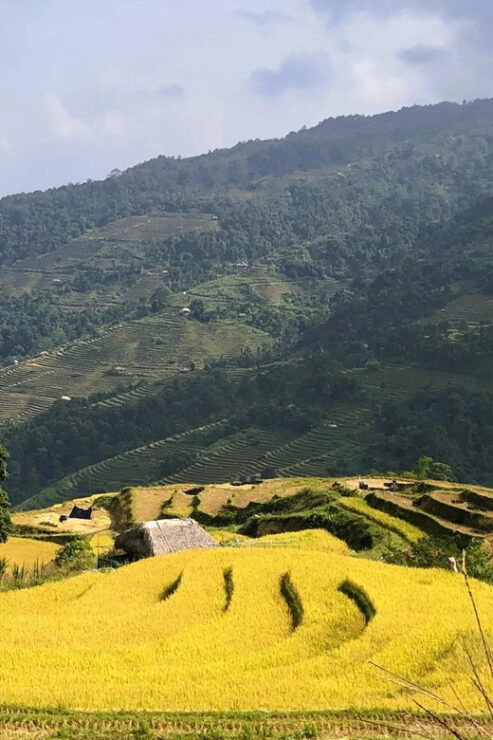 From Hanoi/Sapa: 3-Day Motorbike Ha Giang Loop Self Driving - Day-by-Day Itinerary