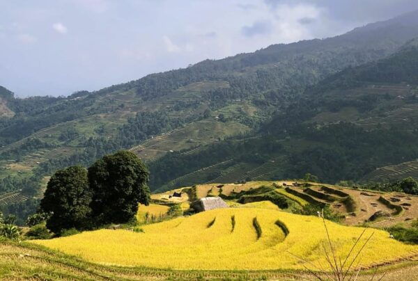 From Hanoi/Sapa: 3-Day Motorbike Ha Giang Loop Self Driving - Frequently Asked Questions