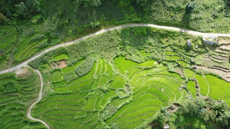 From Hanoi : Sapa 3 Days 2 Nights 1 Hotel 1 Homestay Village - Highlights of the Sapa Trip