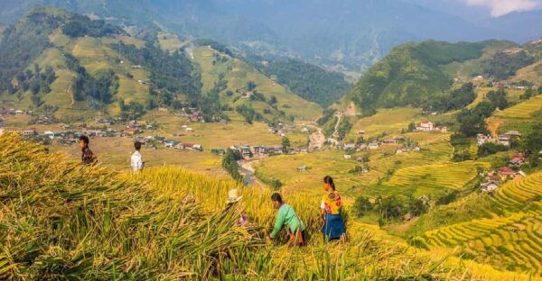 From Hanoi: Sapa and Fansipan Mountain 2-Day Tour - Tour Exclusions