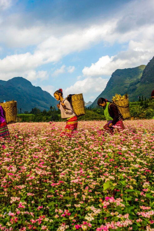 From Hanoi/Sapa: Ha Giang 2-Day Loop Tour With Easy Rider - Detailed Itinerary