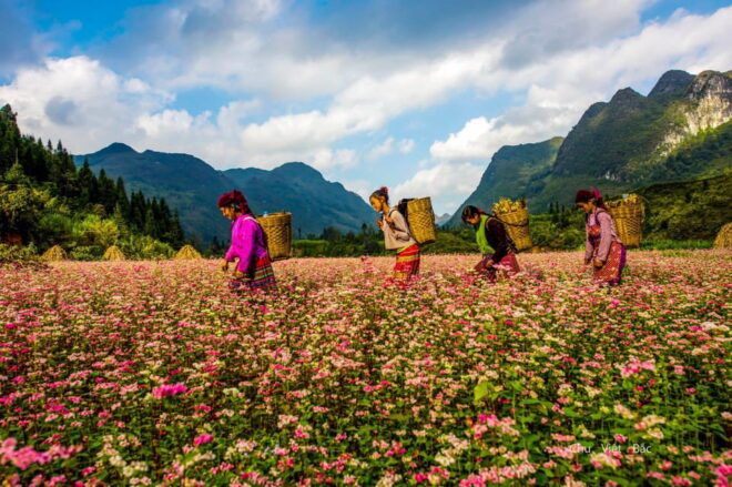 From Hanoi/Sapa: Ha Giang 2-Day Loop Tour With Easy Rider - Preparation Tips
