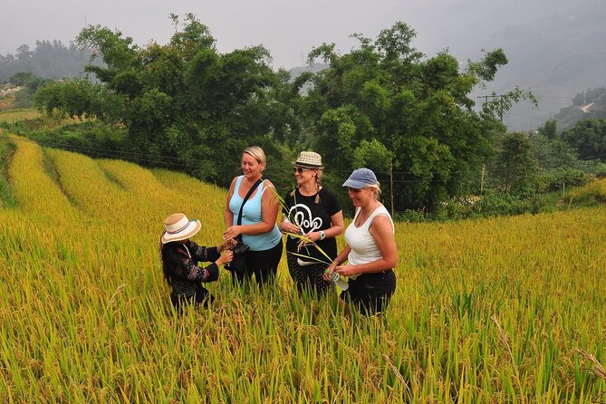 From Hanoi : Sapa Moutain Trek - Halong Bay Heritage - Exploring the Stunning Landscapes of Sapa