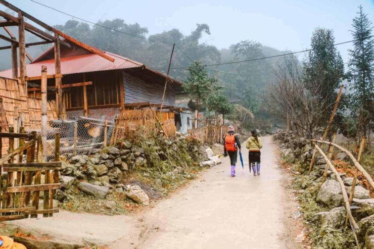 From Hanoi: Sapa Trekking 2 Days 1 Night With Local Guide - Customer Reviews and Feedback