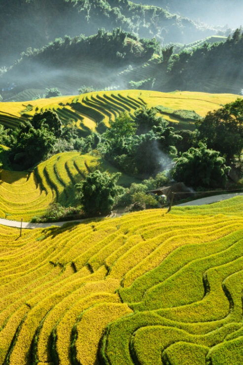 From Hanoi: Sapa Trekking 2DAYS - Sleeper Bus From Hanoi - Good To Know