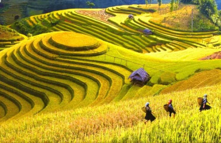 From Hanoi: Sapa Trekking 2DAYS - Sleeper Bus From Hanoi - Detailed Itinerary