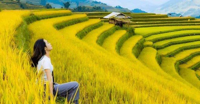 From Hanoi: Sapa Trekking Tour, Visit Terraced Fields 2 Days - Experience and Cultural Insights