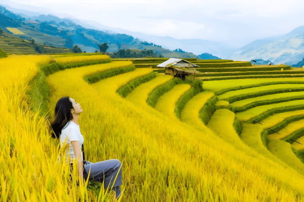 From Hanoi: Sapa Trekking Tour, Visit Terraced Fields 2 Days - Private Group Option