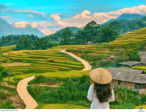 From Hanoi: See Terrace Fields In Sapa 2 Days 1 Night - Transportation and Pickup