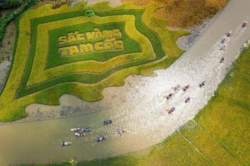 From Hanoi: Tam Coc Boat Trip and Hoa Lu & Mua Cave Tour - What Makes This Tour Special