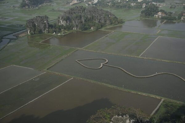 From Hanoi: Tam Coc, Hoa Lu & Mua Cave Full-Day Trip - Frequently Asked Questions
