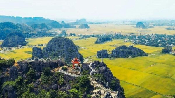 From Hanoi: Tam Coc-Hoa Lu & Mua Caves Full-Day Trip - Local Culture and Cuisine