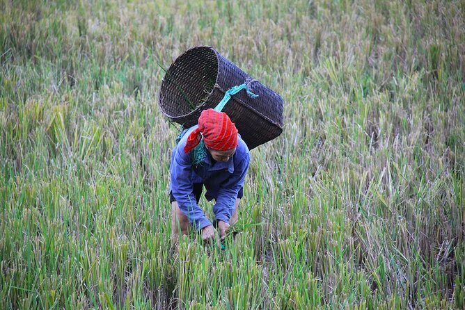 From Hanoi: THE BEST Day Trip to Mai Chau Explore Rural Villages - Practical Considerations