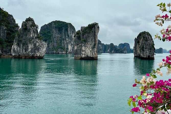 From Hanoi to Ninh Binh and Bai Tu Long Cruise 4 days 3 nights - Things to Consider