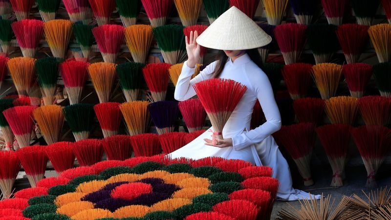 From Hanoi to Ninh Binh Private Day Tour: Incense Village, Hoa Lu & Van Long Wetland - From incense displays to a wetland boat ride