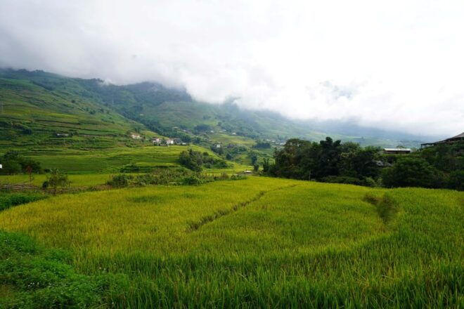 From Hanoi: Tour 2-Days Sapa Ethnic Homestay With Trekking - What to Bring