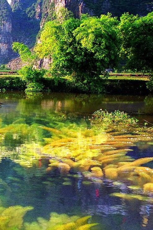 From Hanoi: Trang an Boat , Bai Dinh Pagoda,& Mua Cave Tour - Good To Know