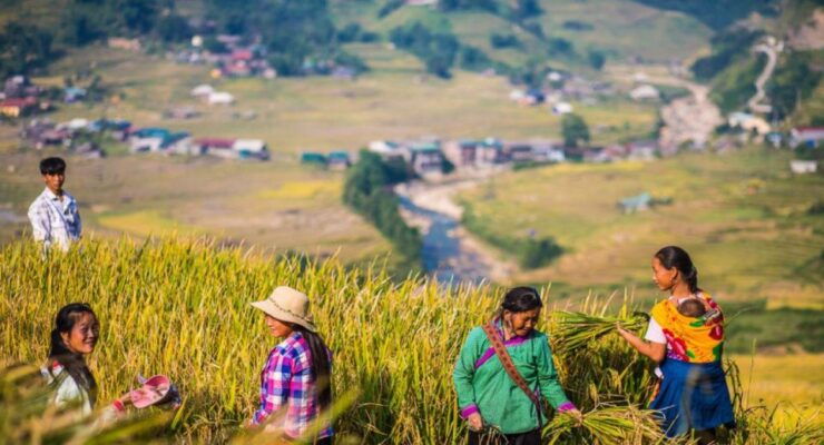 From Hanoi: Trek and Stay: 3-Day Sapa Highlands Adventure - Departure From Hanoi Old Quarter
