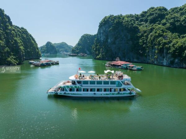 From Hanoi: Visit Cat Ba, Floating, Ancient Village & Kayak - Tour Guide and Language Options