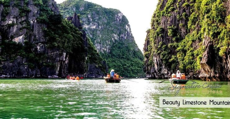 From Hanoi: Visit Cat Ba Islands By A Good Cruise In 1 Day - Experience Highlights