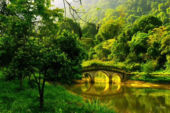 From Hanoi: Visit Cuc Phuong National Park & Admire Firefly - Unique Wildlife Encounters