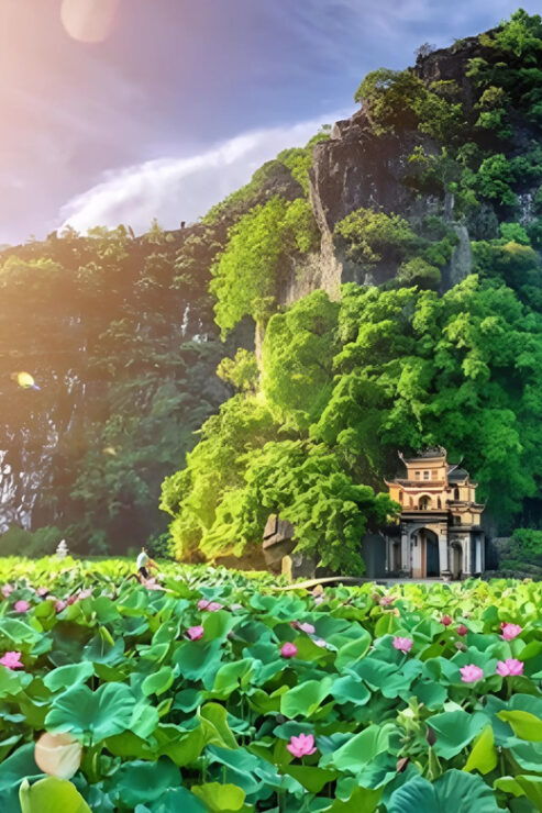 From Hanoi: Visit Hoa Lu/ Bai Dinh & Bich Dong & Thung Nham - Itinerary Highlights