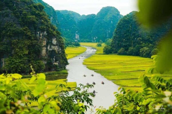 From Hanoi: Visit Ninh Binh 2 Days & Admire Rice Fields - Transportation and Guides