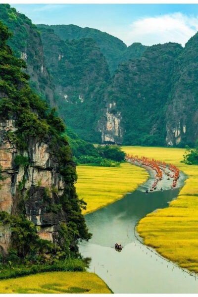From Hanoi: Visit Ninh Binh & Admire Birds In 2 Days - Transportation and Transfers