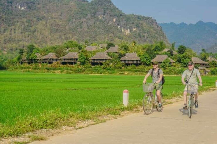 From Hanoi: Visit Ninh Binh - Amire The Rice Fields In 2 Day - Itinerary Highlights