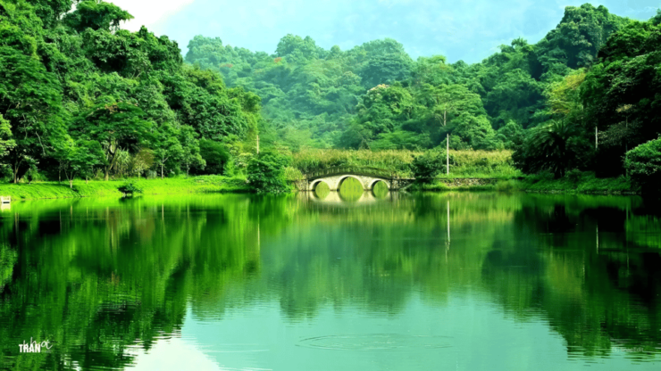 From Hanoi Visit Ninh Binh, See Animals In Cuc Phuong 2 Days - Good To Know