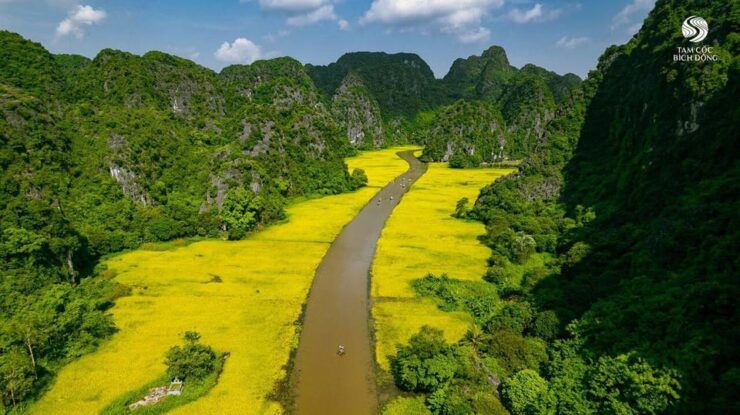 From Hanoi Visit Ninh Binh, See Animals In Cuc Phuong 2 Days - Itinerary Highlights