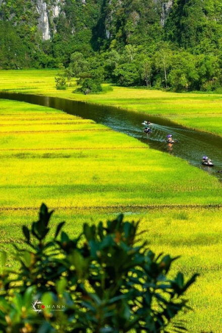 From Hanoi Visit Ninh Binh, See Animals In Cuc Phuong 2 Days - Contact and Booking Information