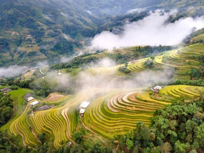 From Hanoi: Visit Sapa 3 Days & See The Terraced Fields - Exploring Sapa City