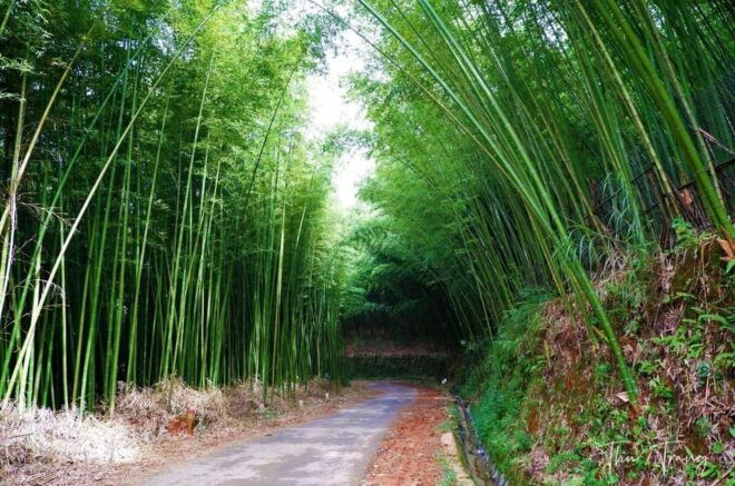 From Hanoi: Visit Sapa, Local Village, Terraced Fields 3 Day - Included Experiences