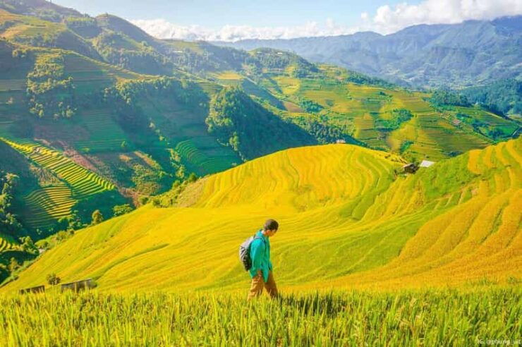 From Hanoi: Visit Sapa, Trekking To Local Village In 2 Days - Good To Know