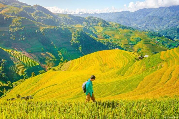 From Hanoi: Visit Sapa, Trekking To Local Village In 2 Days - Itinerary Highlights