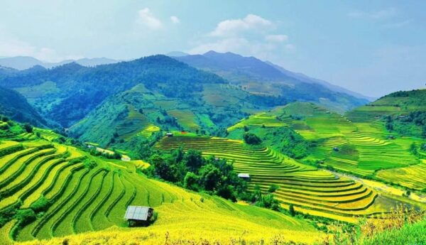 From Hanoi: Visit The Local Village In Sapa For 2 Days - Pickup and Language Options