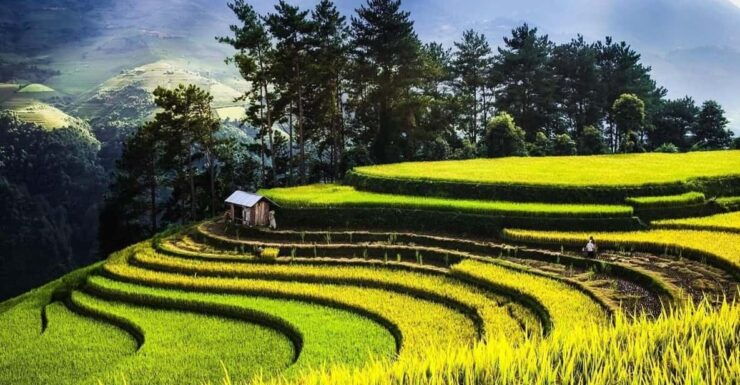 From Hanoi Visit The Local Village, Terraced Fields In 3 Day - Good To Know