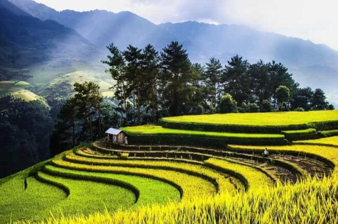 From Hanoi Visit The Local Village, Terraced Fields In 3 Day - Experience Highlights