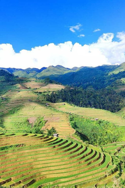From Hanoi: Visit The Local Villages In Sapa In 2 Days - Experience Highlights