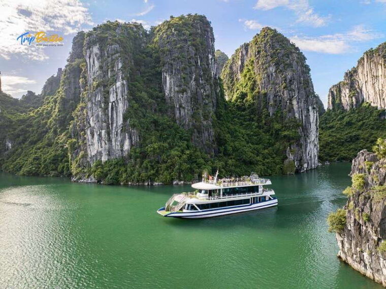 From Hanoi:1 Day Ha Long Bay Premium Cruise-Buffet & Jacuzzi - Inclusions and Exclusions